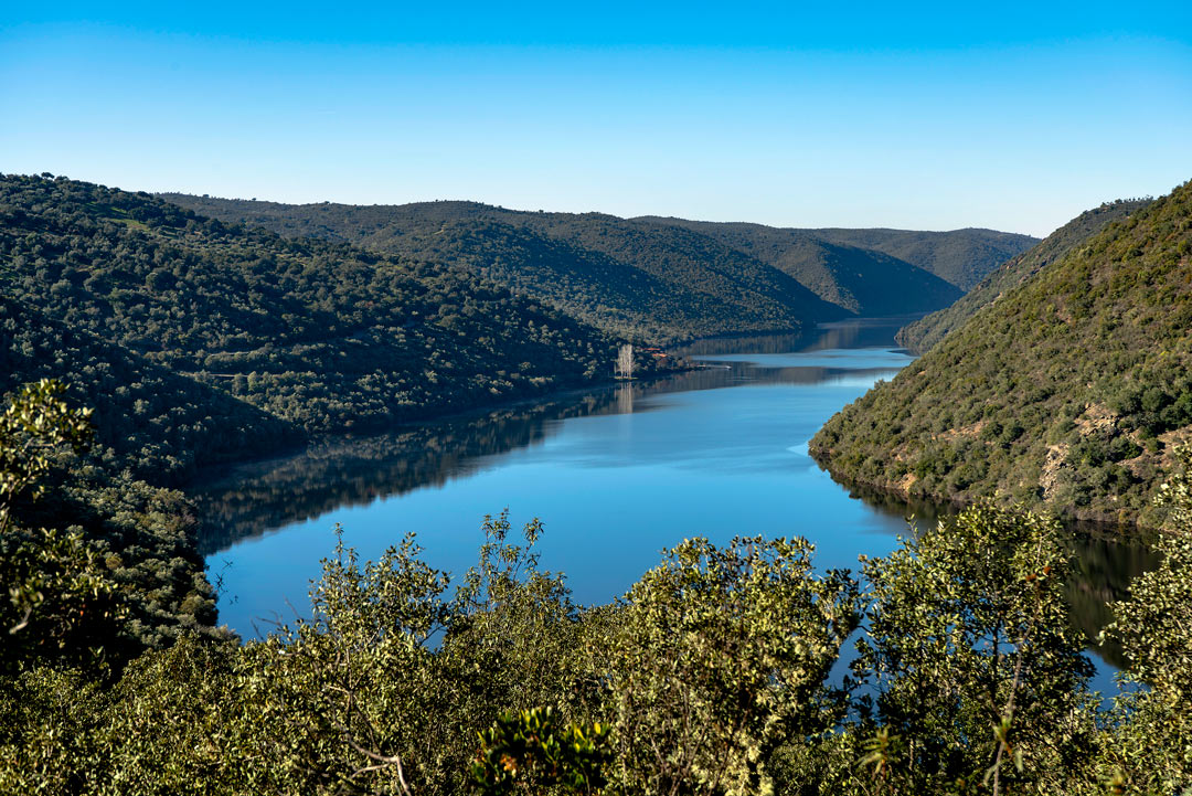 Río Tajo - Herrera de Alcántara