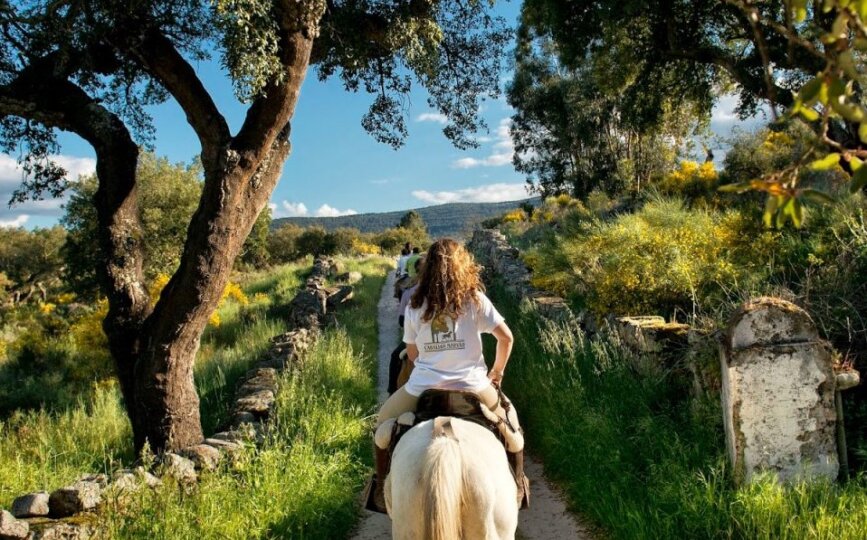 Paseos a caballo