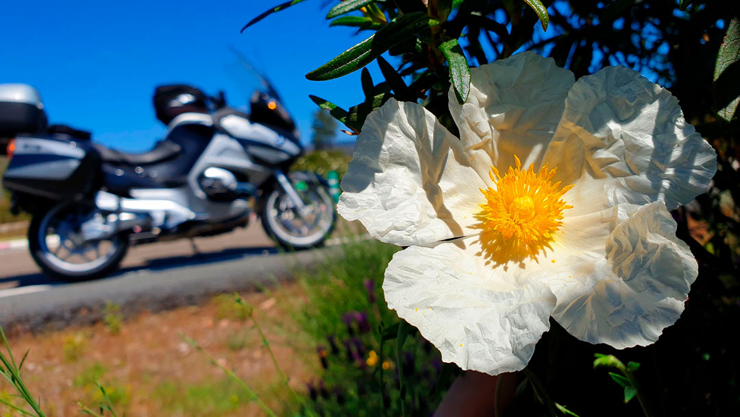 Tajo Internacional En Moto - Membrío