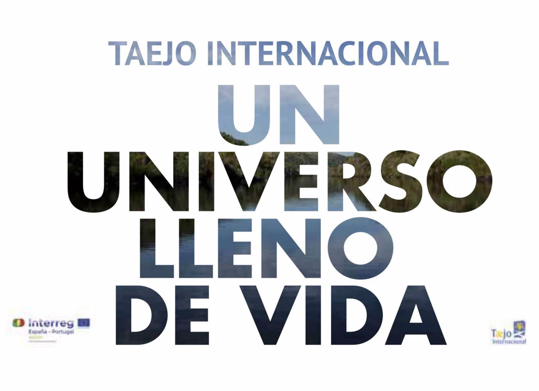 Guía Taejo Internacional. Un universo lleno de vida