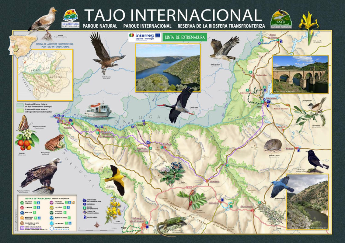 Mapa y Rutas Tajo Internacional