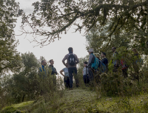 Ruta Mari Loza: Un sendero entre naturaleza, calma y desconexión